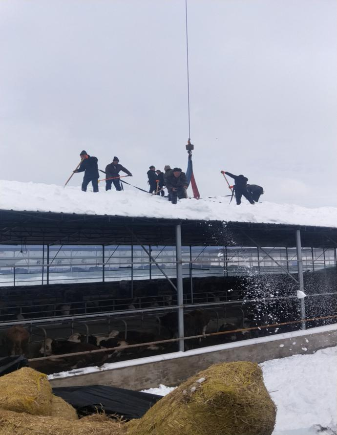 304am永利集团官网(中国)有限公司-Official Website