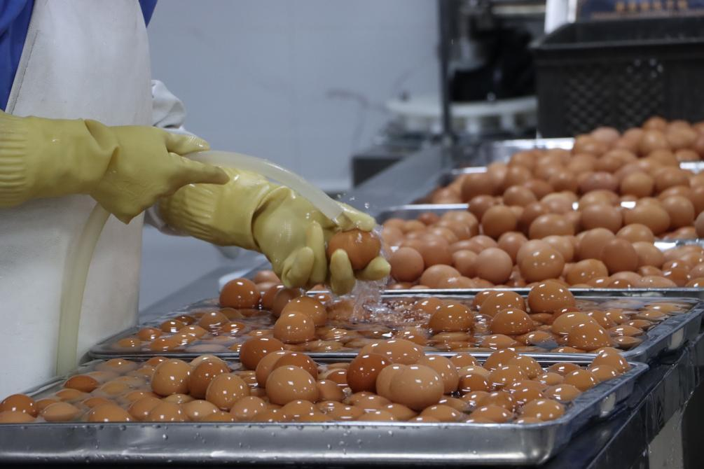 304am永利集团官网(中国)有限公司-Official Website