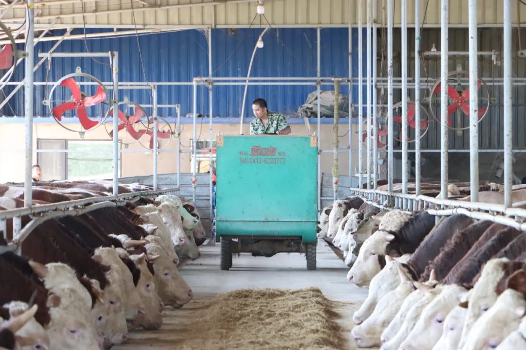 304am永利集团官网(中国)有限公司-Official Website