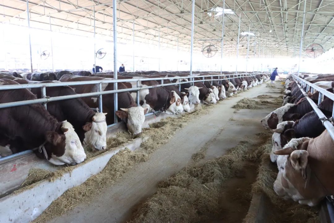 304am永利集团官网(中国)有限公司-Official Website