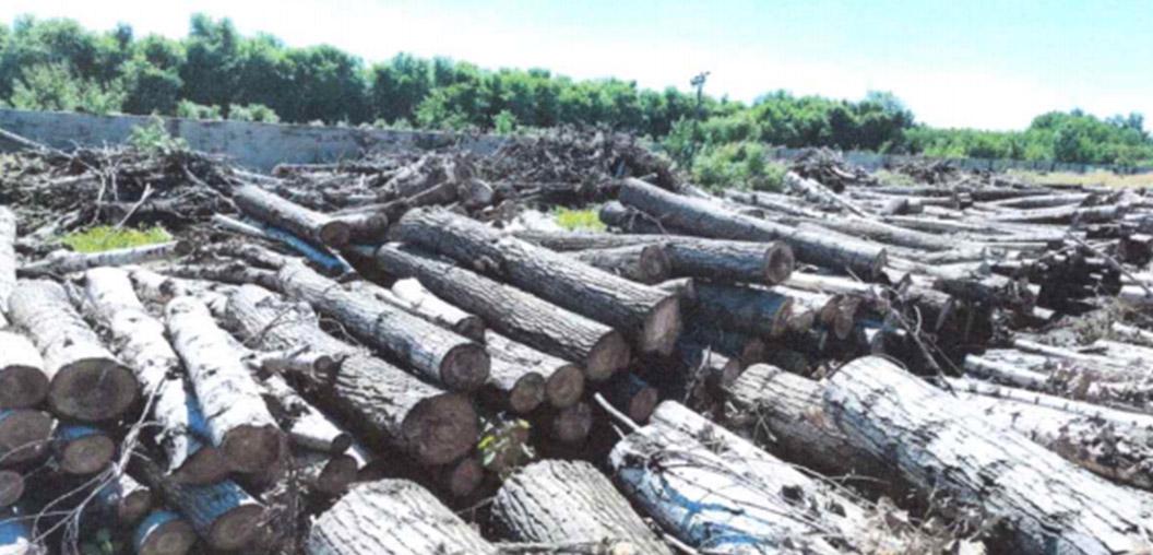 304am永利集团官网(中国)有限公司-Official Website