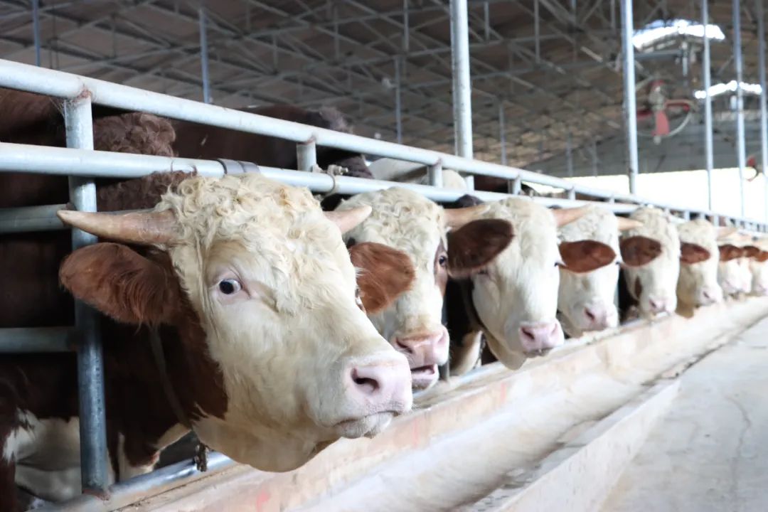 304am永利集团官网(中国)有限公司-Official Website